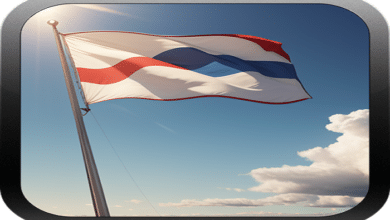 flag waver apk download