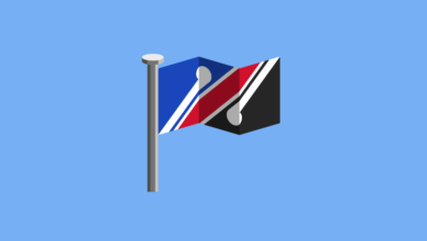 Flag Waver App