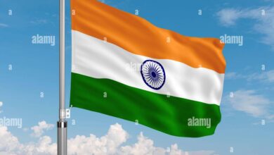 Indian Flag Waver