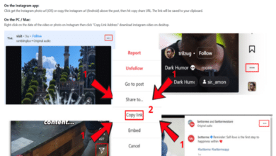 snapinsta instagram video download