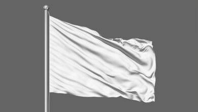 flag waver gif maker