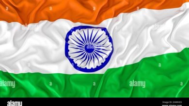 indian flag 3d