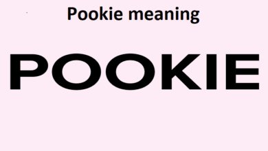 pookie meaning