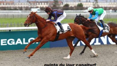 quinte du jour canalturf