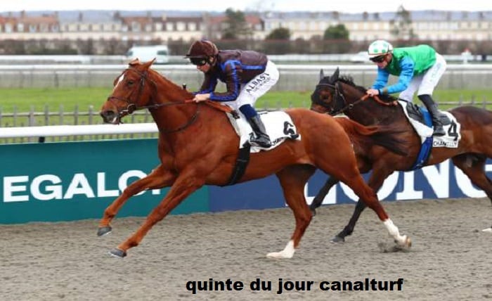 quinte du jour canalturf
