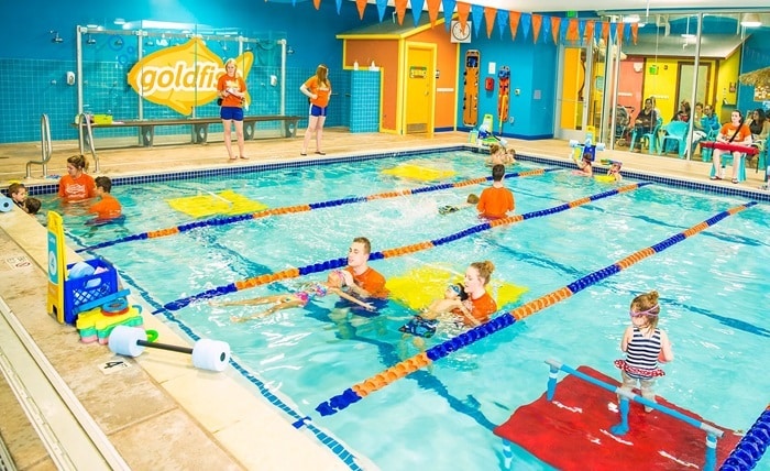 goldfish swim school