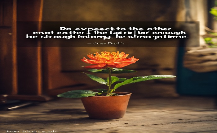 attitude quotes