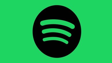 spotify premium ne kadar